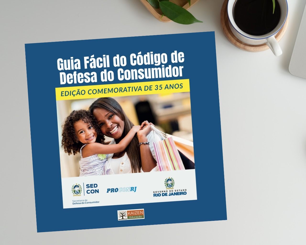 guia fácil kaizen educação